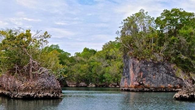 From Samana: Los Haitises Boat and Walking Tour with Lunch — Guided tour and outdoor activity