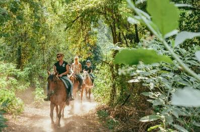 Soukromé: Punta Cana: Jízda na koni se západem slunce — Guided tour and outdoor activity