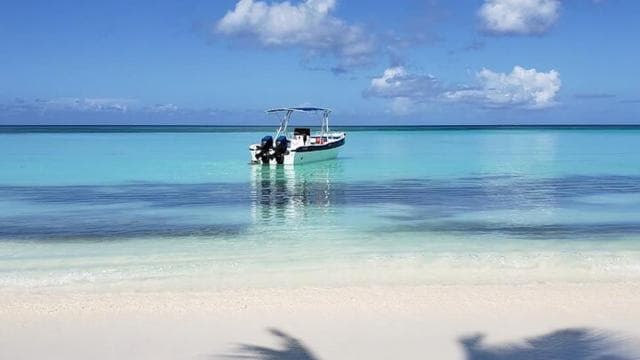 Punta Cana: Ganztägige Gruppentour zur Insel Saona — Guided tour and outdoor activity