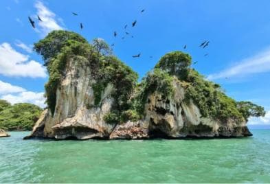 Los Haitises: Wander- und Kajaktour zu natürlichen Pools und Mittagessen — Guided tour and outdoor activity