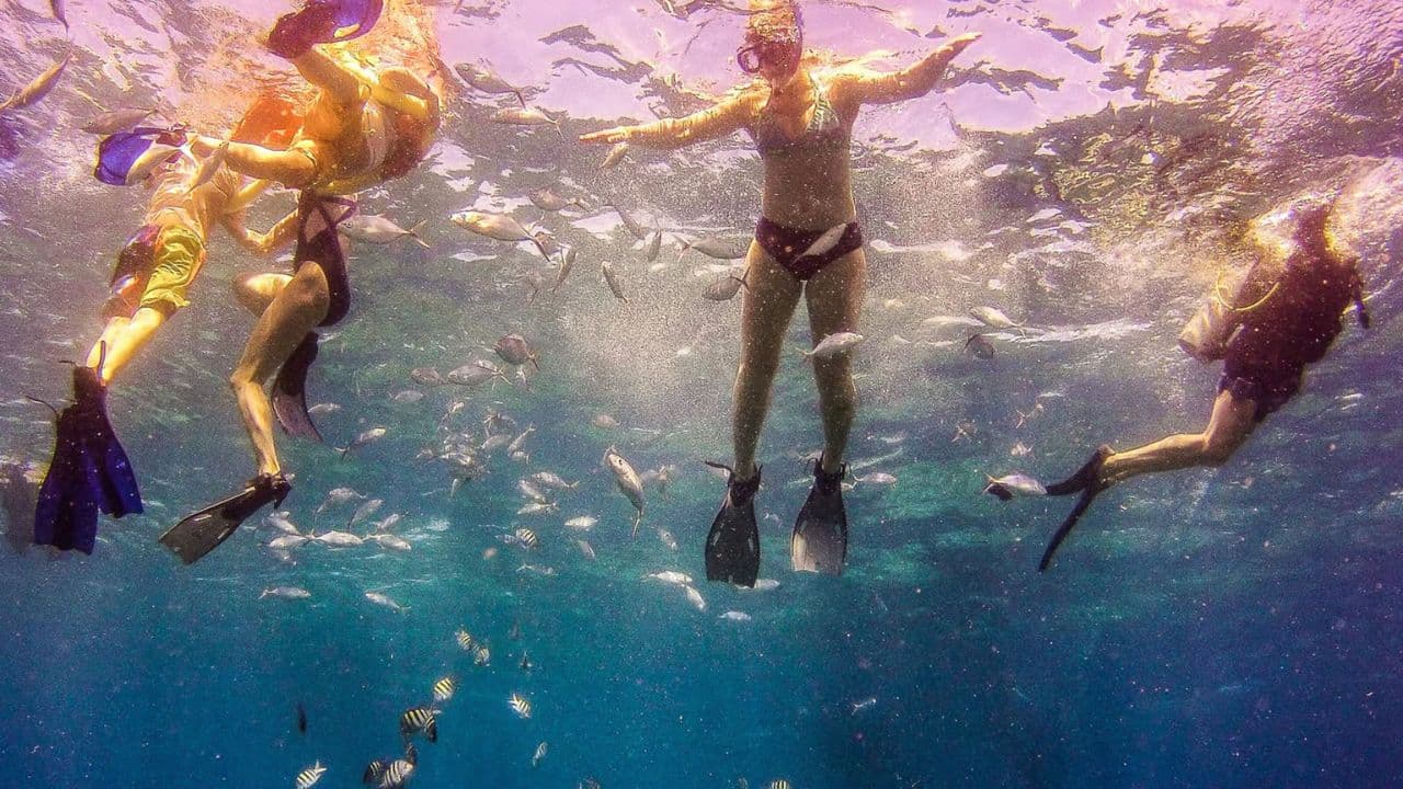 La Romana: Ganztägige Schnorcheltour zur Insel Catalina — Guided tour and outdoor activity