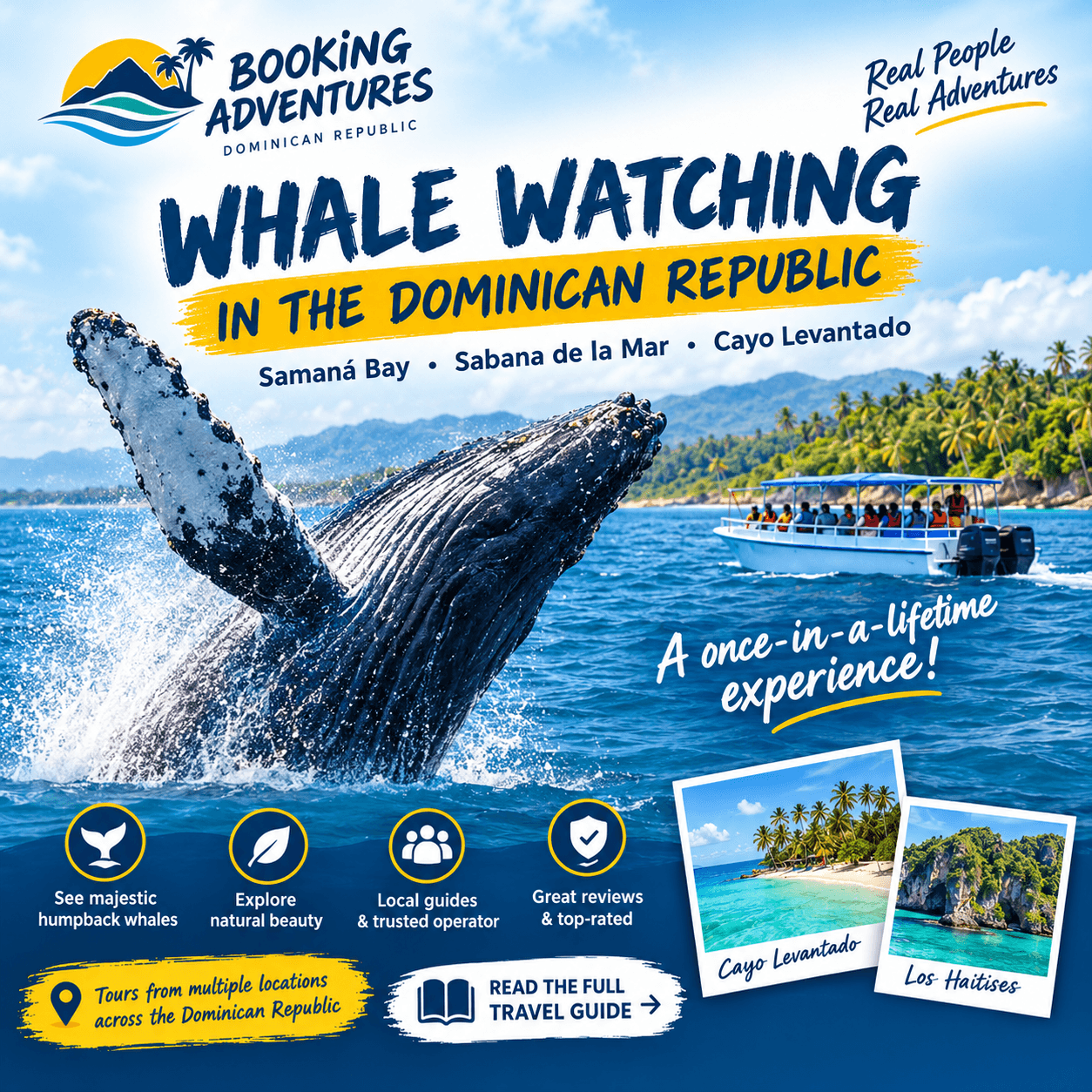 Best Whale Watching in the Dominican Republic | Booking Adventures - Whale Sabana de la Mar Guide