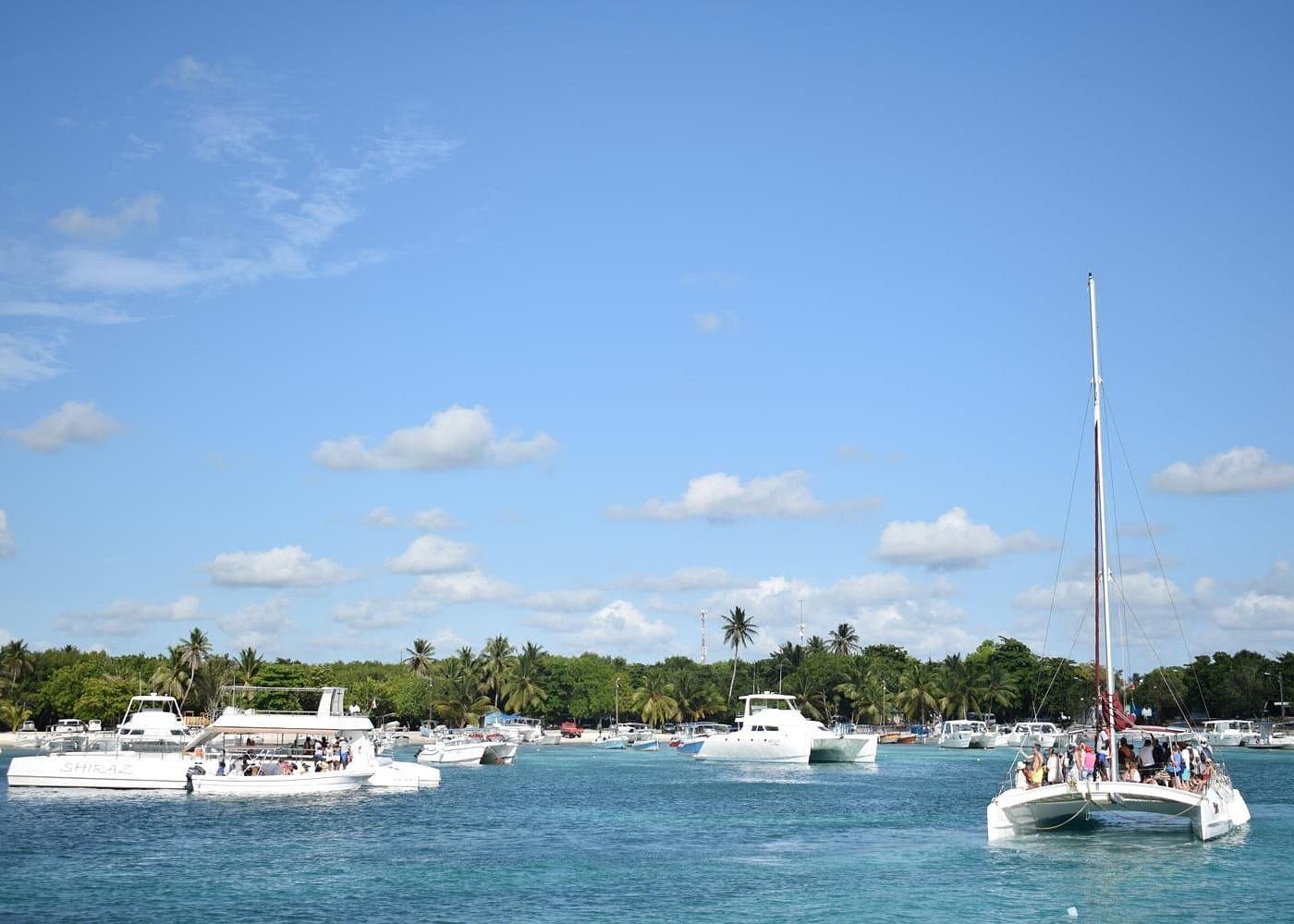 Saona Island from a Cruise Ship: Excursions & Planning Tips - Whale Sabana de la Mar Guide
