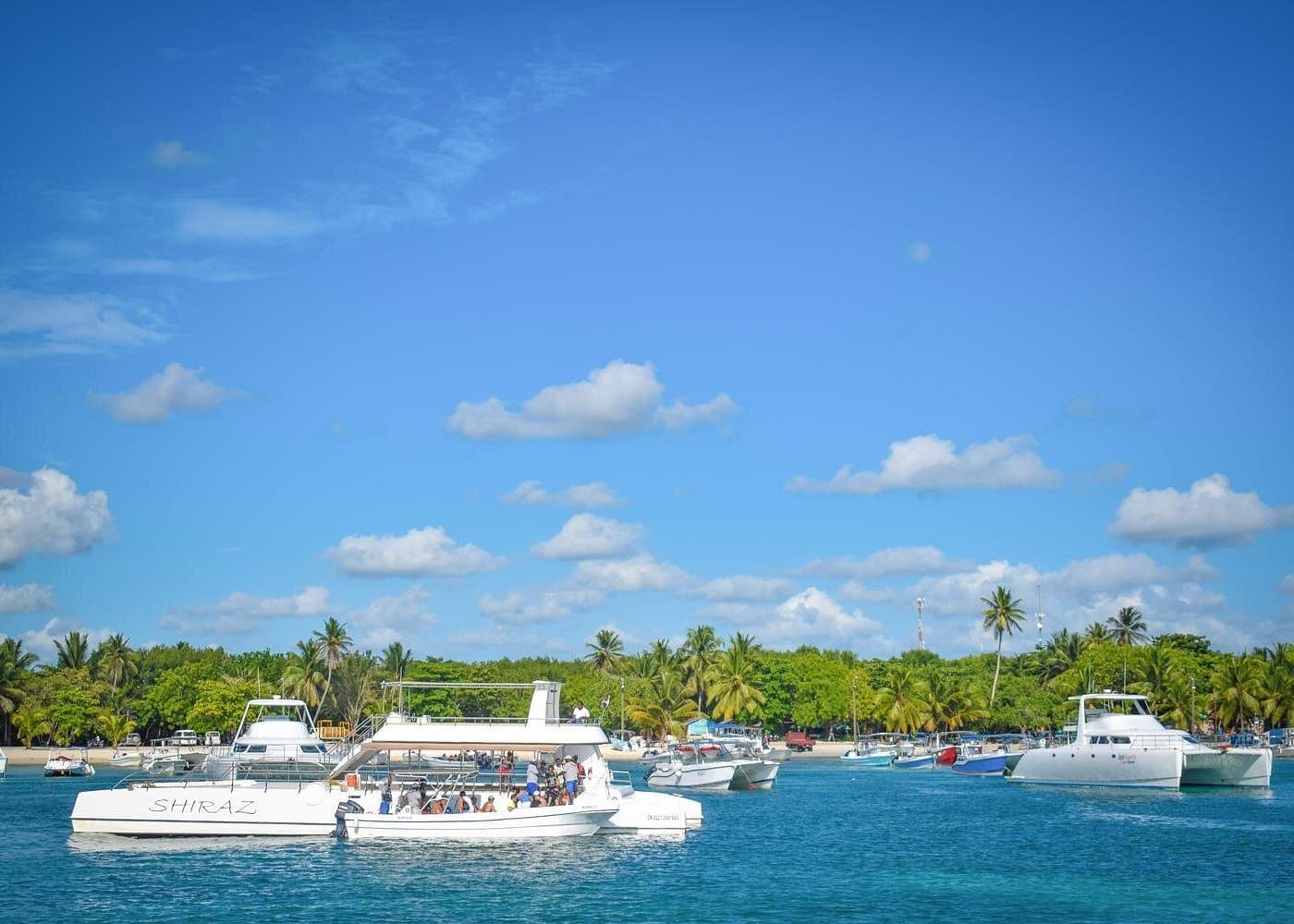 Saona Island Tour Cancelled Due to Weather? What to Know - Whale Sabana de la Mar Guide