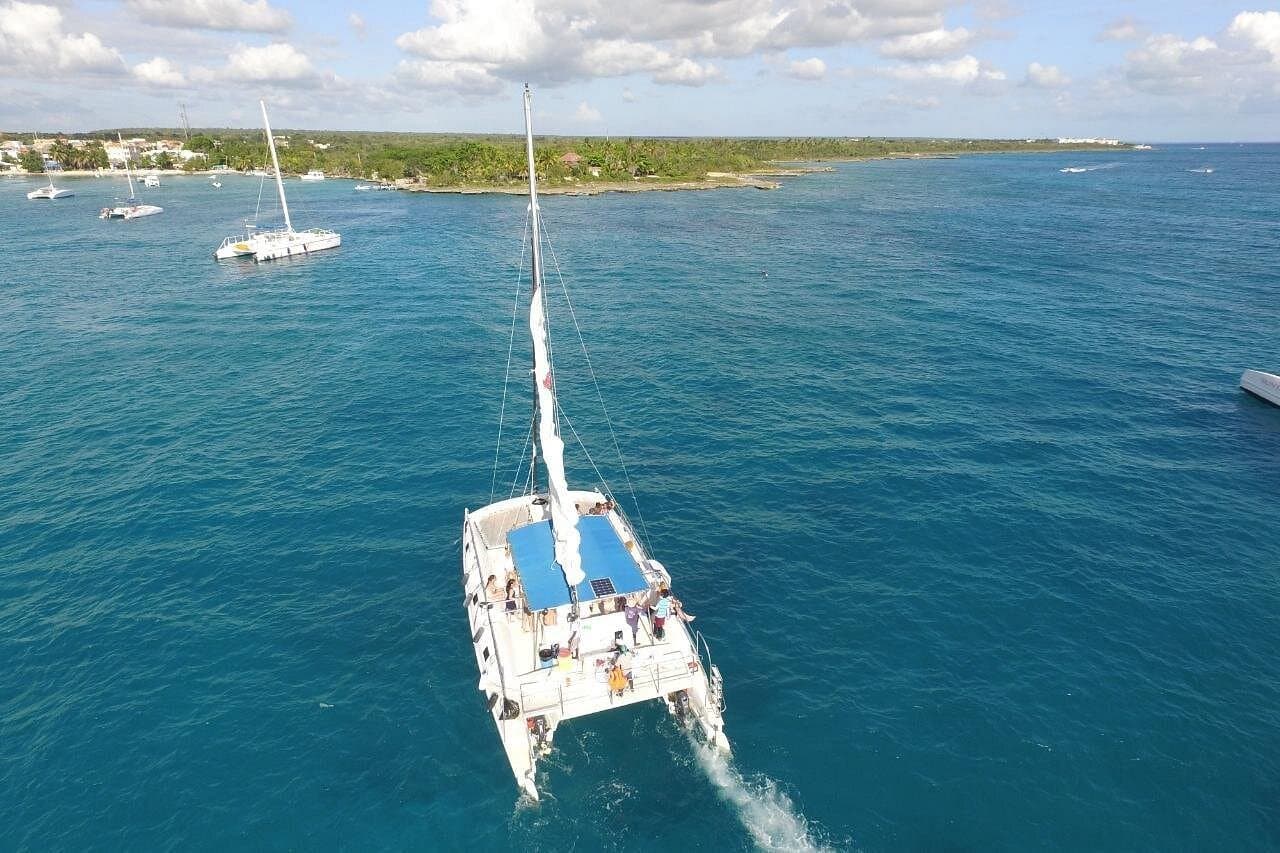 Saona Island Tour for First-Time Visitors: What to Know
