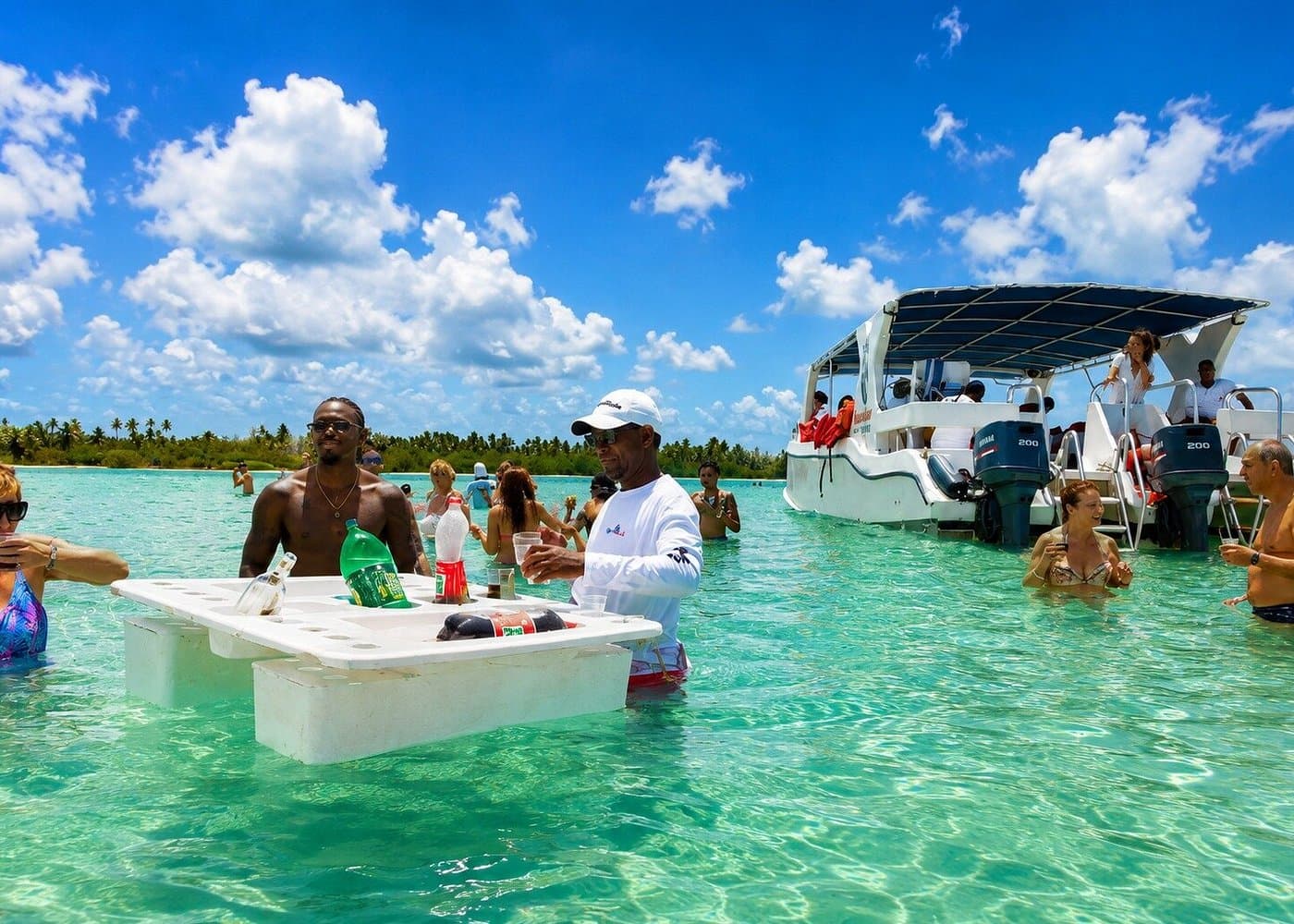 Snorkel en Isla Saona: Tours y consejos para principiantes - Whale Sabana de la Mar Guide