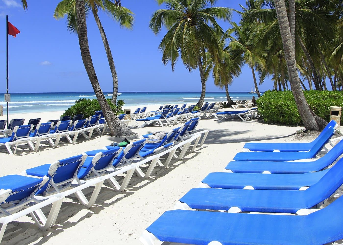 Saona Island Wildlife: Animals & Responsible Viewing - Whale Sabana de la Mar Guide