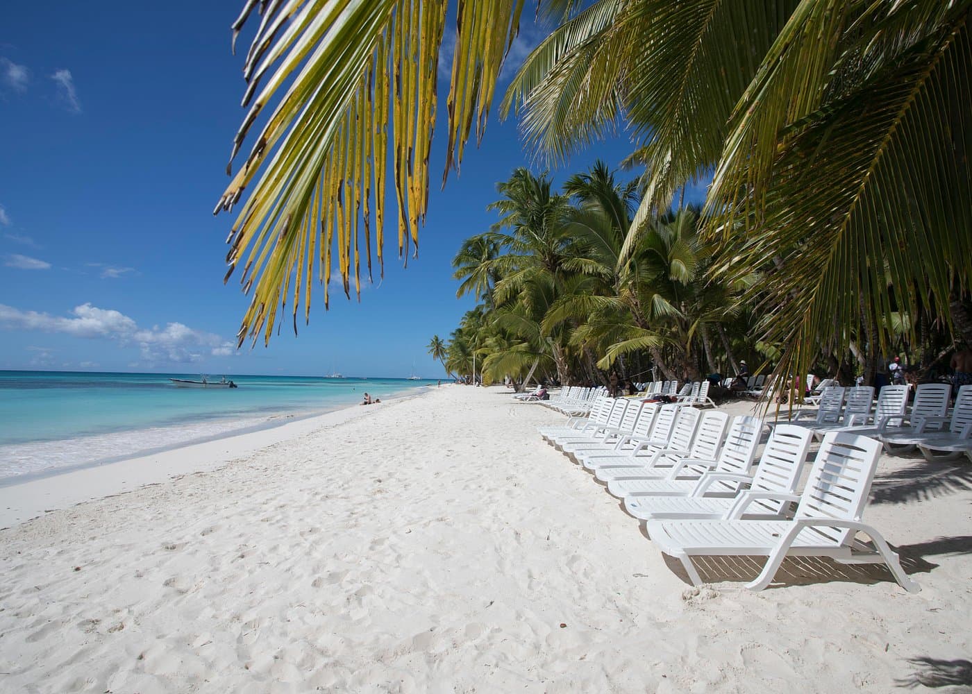 Saona Island Tour Transportation: Transfers & Taxis