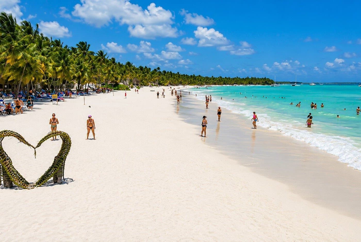 Estrellas de mar de la isla Saona: dónde verlas y protegerlas