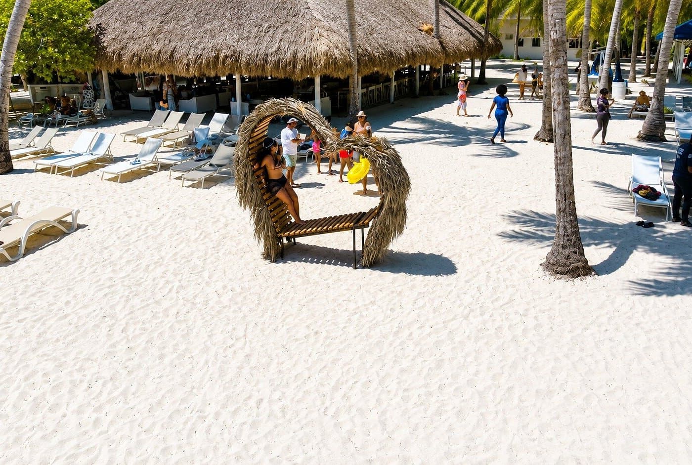Saona Island vs. Catalina Island: Was ist besser? - Whale Sabana de la Mar Guide