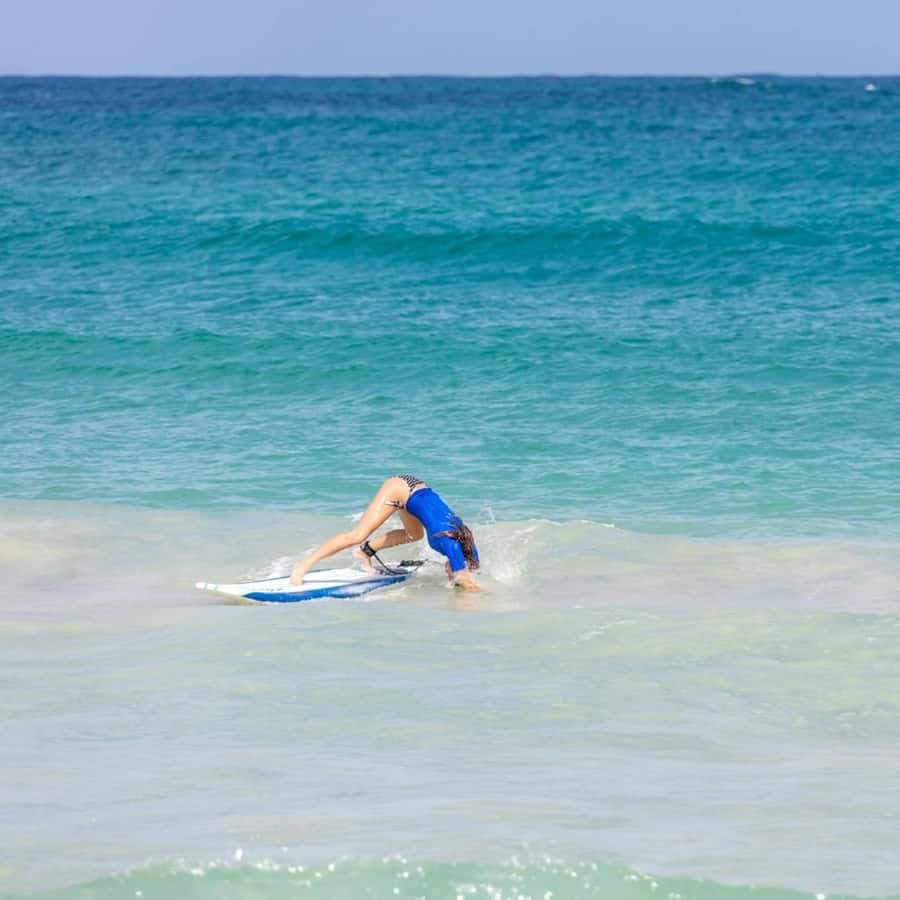 Safari Half Day from Punta Cana — Guided tour and outdoor activity