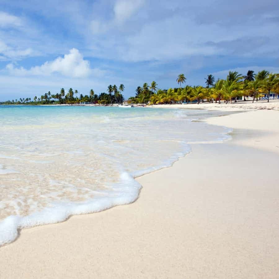 Punta Cana: Isla Saona Speedboat Tour with Snorkeling â Guided tour and outdoor activity