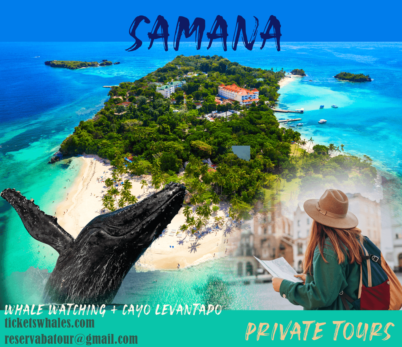 Whale Watching in the Dominican Republic: Complete 2027 Guide - Whale Sabana de la Mar Guide