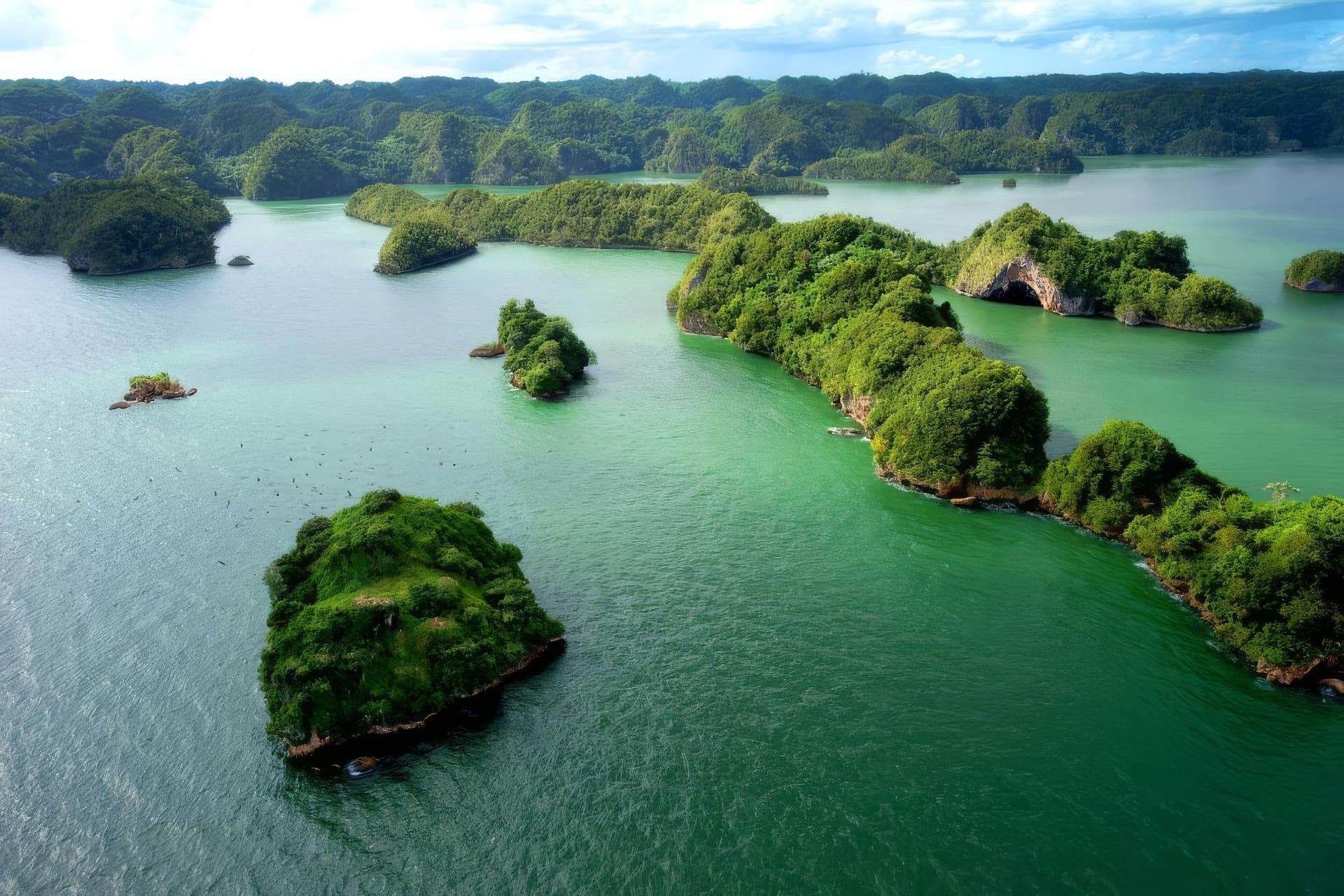? Los Haitises National Park Tour: Complete Guide (Boat, Caves & Mangroves) - Whale Sabana de la Mar Guide