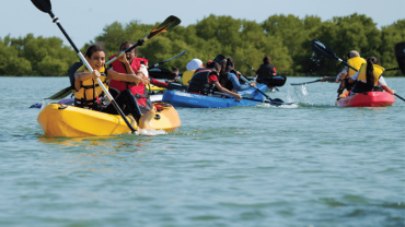 Sabana de la Mar: Los Haitises Senderismo Guiado y Kayak