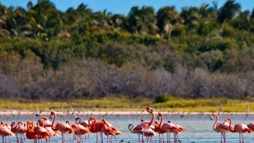 Jaragua National Park: Explore Laguna de Oviedo