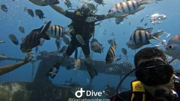Bayahibe: Einführung in das Tauchen - Godive Bayahibe