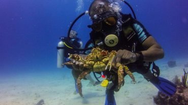 La Romana: Mergulho na ilha Catalina