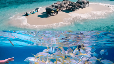 Cayo Arena: Paradise Island & Magroves Tour Private