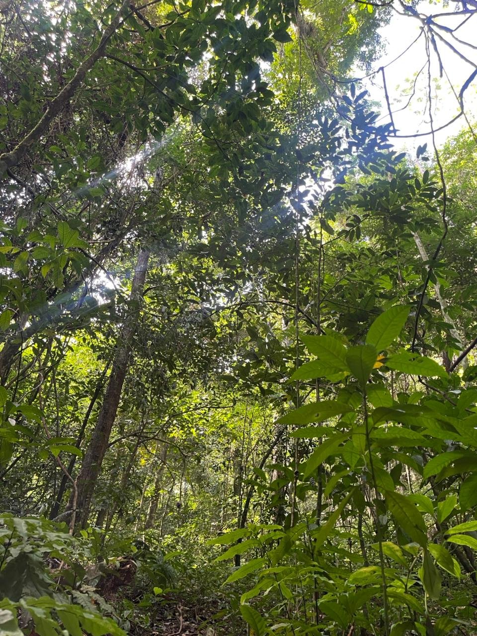 WhatsApp Image 2025-01-09 at 11.53.25 WhatsApp Image 2025 01 09 at 11.53.25