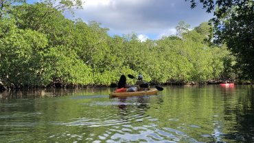 Los Haitises Kayak & Caño Hondo Pools – Group Tour From Miches