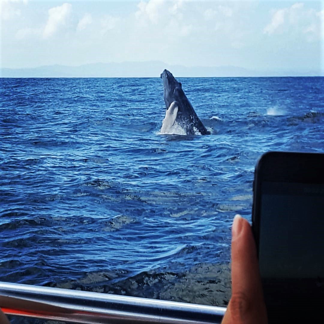 Cayo-Levantado36.jpg Cayo Levantado36